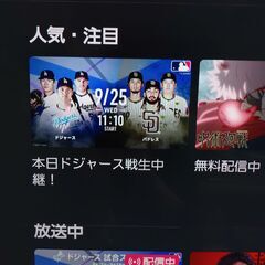 ★難あり品・訳アリ　TOSHIBA　レグザ　液晶テレビ　４３M５３０X　２０１９年製の画像