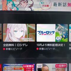 ★難あり品・訳アリ　TOSHIBA　レグザ　液晶テレビ　４３M５３０X　２０１９年製の画像