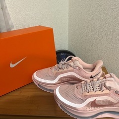 NIKE レディースシューズ PEGASUSPREMIUM HQ2593-601の画像