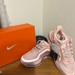 NIKE レディースシューズ PEGASUSPREMIUM HQ2593-601の画像