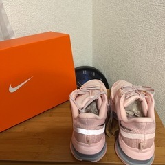 NIKE レディースシューズ PEGASUSPREMIUM HQ2593-601の画像