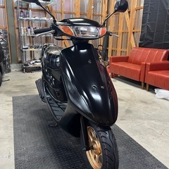 ホンダ ライブDIOの画像