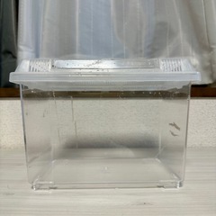 【無料】虫かご