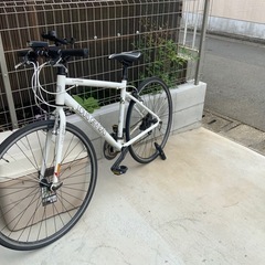 ルイガノの画像