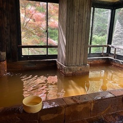 湘南発 日帰り旅仲間募集🏞️🍽️♨️ - 友達