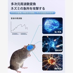 ネズミ駆除 超音波 鼠駆除 ゴキブリ駆除 害虫駆除 超音波ネズミの画像