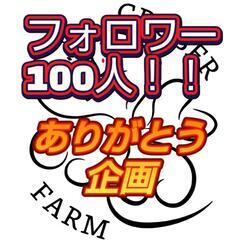 ありがとう企画(*’ω’ﾉﾉﾞ☆ﾊﾟﾁﾊﾟﾁ