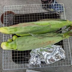 空の一斗缶販売します。の画像