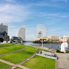 平日に活動している草野球チーム探してます！