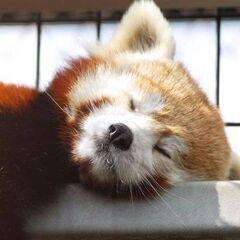 家庭崩壊した中で育ってこられた方