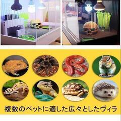 ペットケージの画像