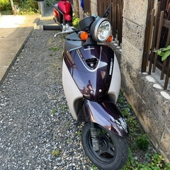 50cc,原付バイクの画像