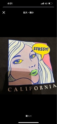 Stussy グラフィックトレーナー カリフォルニア