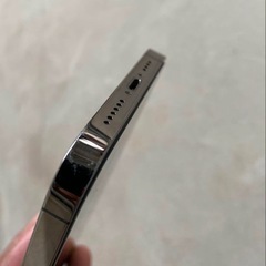 iPhone 13 Pro Max本体の画像