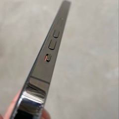 iPhone 13 Pro Max本体の画像