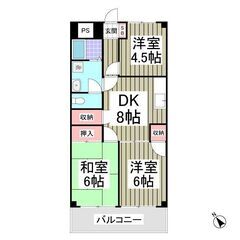 💕初月賃料なし、敷金なし、礼金なし、ネット使用料なし、仲介手数な...