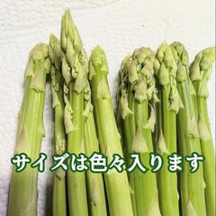朝取りアスパラ規格外1キロ①の画像