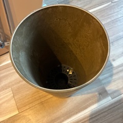 鉢植え
の画像