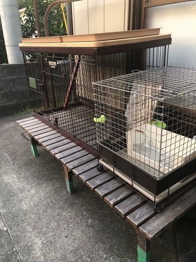 ペットゲージ　大型（天井つき）小型
