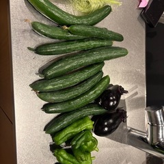 安心安全！無農薬野菜！！！3本100円の画像
