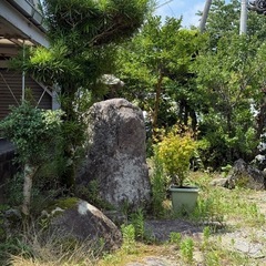 【無料】庭石　石灯篭　庭木　差し上げますの画像