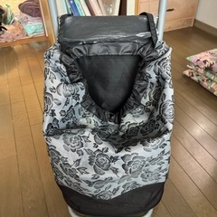 買い物キャリーの画像