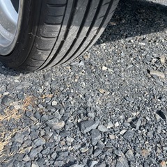 わりと綺麗です‼️の画像