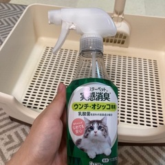猫　トイレ　の画像