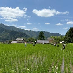 ほっこり田舎体験しませんか？