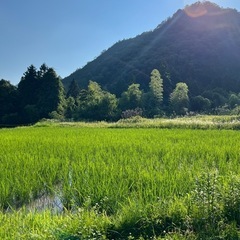 ほっこり田舎体験しませんか？ - 友達