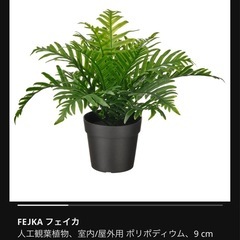 IKEA購入　人工観葉植物の画像