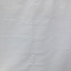 キクチ　ビデオスクリーンの画像
