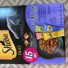 シーバ　猫　ごはん　ペットフードの画像