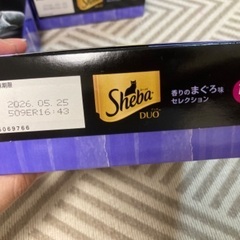 シーバ　猫　ごはん　ペットフードの画像