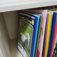 1年未満使用★3段ラックの画像