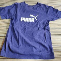 PUMAのネイビーTシャツ、サイズ150の画像