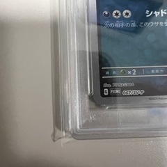 nagaba ブラッキー psa10の画像
