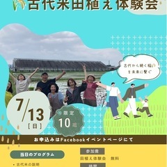 手植えで体験！菊池市・古代米田植えイベント🍃