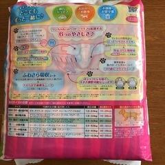 値下げしました　ユニチャーム　マナーウエア　小型SSサイズ　女の子用の画像