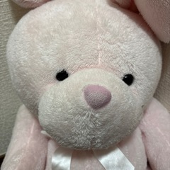 近々破棄予定⚠️ぬいぐるみの画像