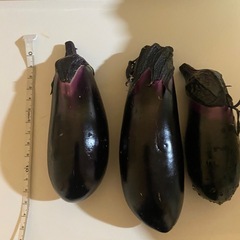 無農薬　ナス　5本100円の画像