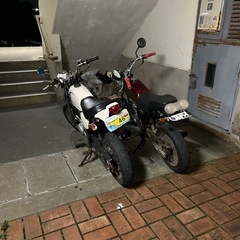 エイプの画像