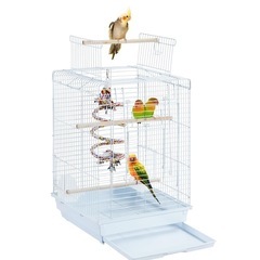 バードケージの中古が安い！激安で譲ります・無料であげます(2ページ目