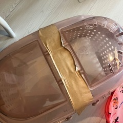 猫用　キャリーケースの画像