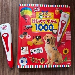 はじめてずかん1000の画像