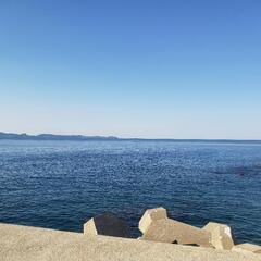 釣り仲間募集 - 友達