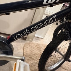 ルイガノ　16インチ自転車の画像