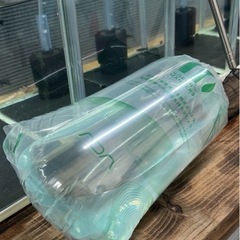 ゴールドバックシュリンプ &　水草　の画像
