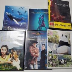 雑貨類 DVD CD等　大量の画像