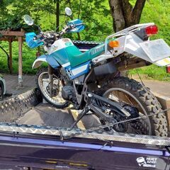 セロー225の画像